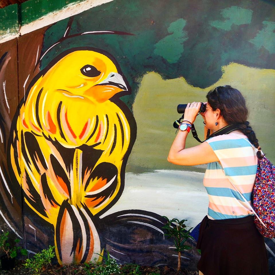 Avistamiento de aves en Cali, Colombia