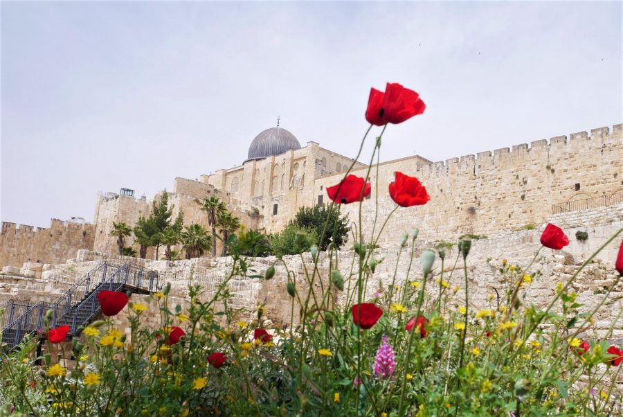 Guía de Jerusalén, qué ver en la Ciudad Santa
