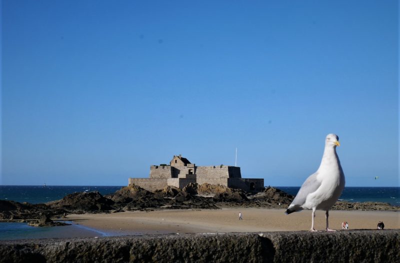 Qué ver en Saint-Malo, La Bretaña francesa