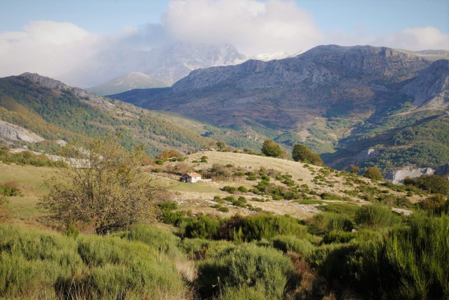 7 planes que hacer en la Montaña Palentina para disfrutar de un otoño diferente