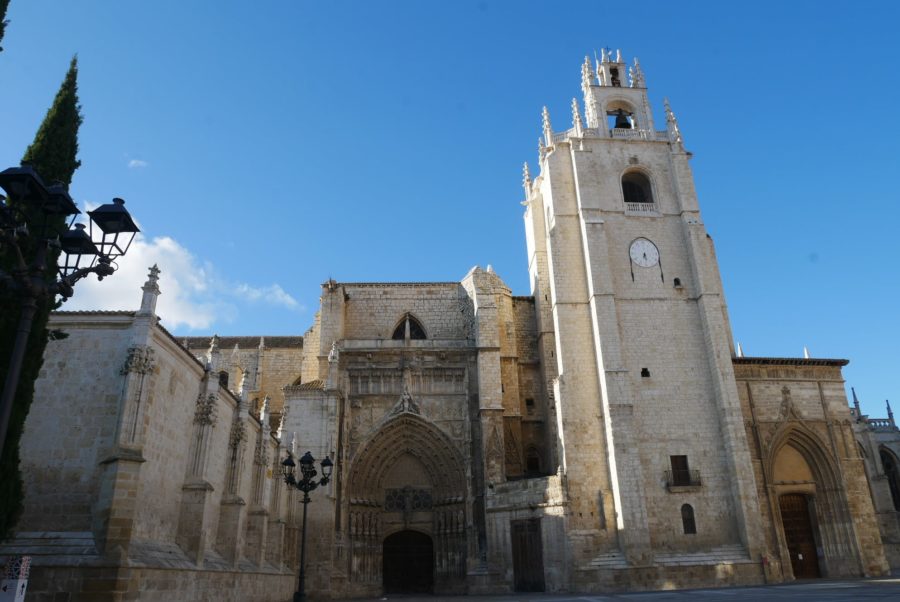 Catedral, qué ver en Palencia capital en un día