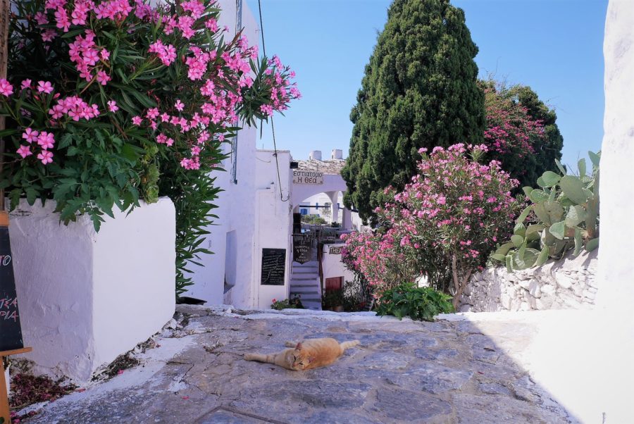 Mi viaje a Ítaca: ¿te vienes a Grecia conmigo"