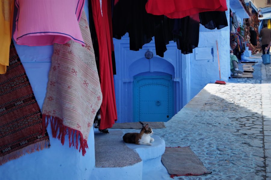 TOP 10 ⭐ lugares que ver en Marruecos