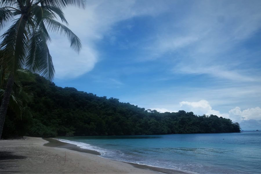Isla Coiba, itinerario por Panamá en 15 días
