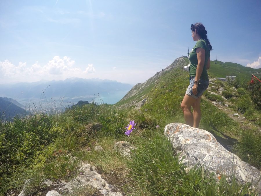 Alpes suizos, seguro de viaje anual, merece la pena