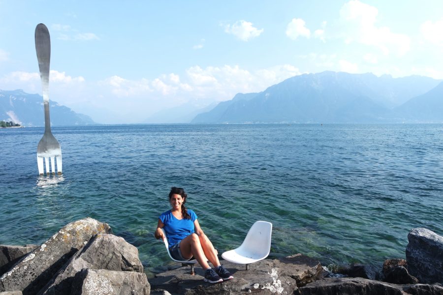 Lago Lemán, Seguro de viaje a Suiza