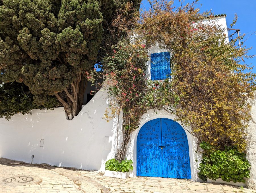 Qué ver en Sidi Bou Said, pueblos bonitos de Túnez