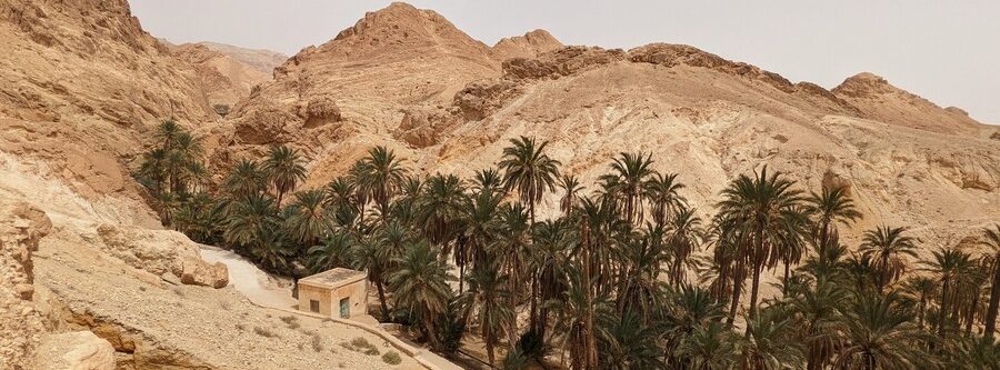 Oasis de Chebika, qué ver en Tozeur y alrededores