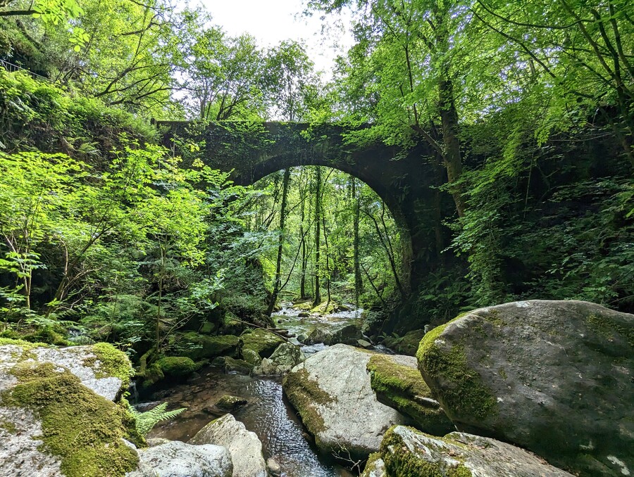 Rutas de senderismo en las Fragas do Eume, el bosque mágico de Galicia