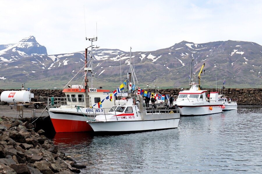 Barcos, ruta por los fiordos del este de Islandia