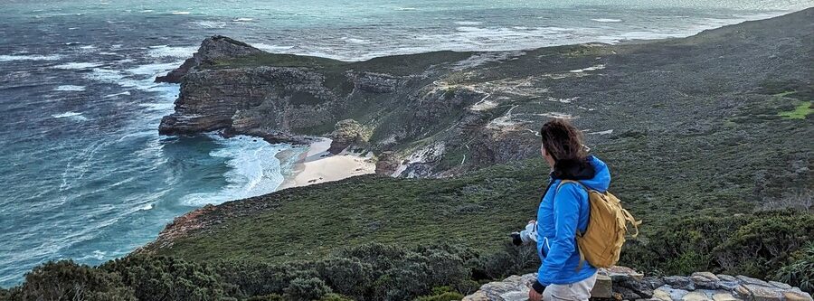 Qué hacer en la península del Cabo en un día