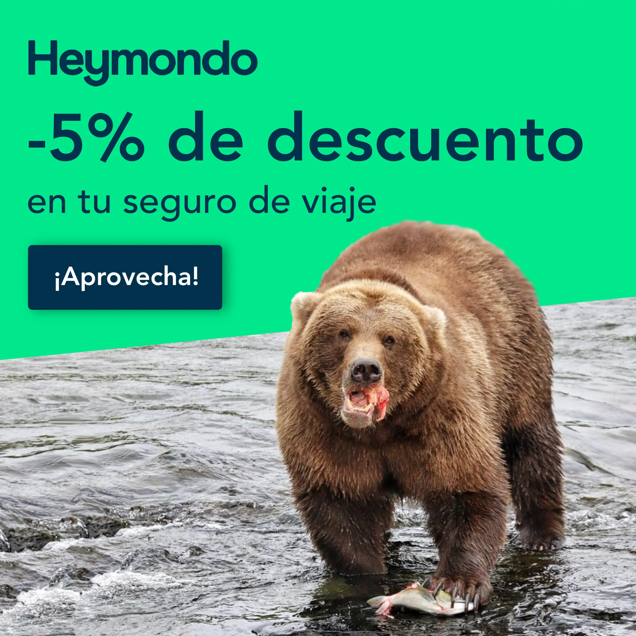 Descuento Heymodo